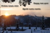 Frohes neues Jahr 2010